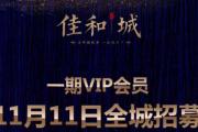 汝南【佳和城】VIP会员11月11日全城招募！